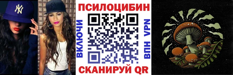 как найти закладки Шацк mega маркетплейс Галлюциногенные грибы Cubensis